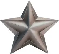 Звезда из нержавеющей стали декор на стелу в Рубцовске (518508)