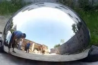 Полусфера Ø 1500 мм. стенка 2 мм. (207298) в Рубцовске